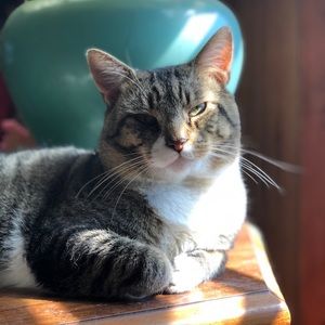 Meet your Posher, Krista